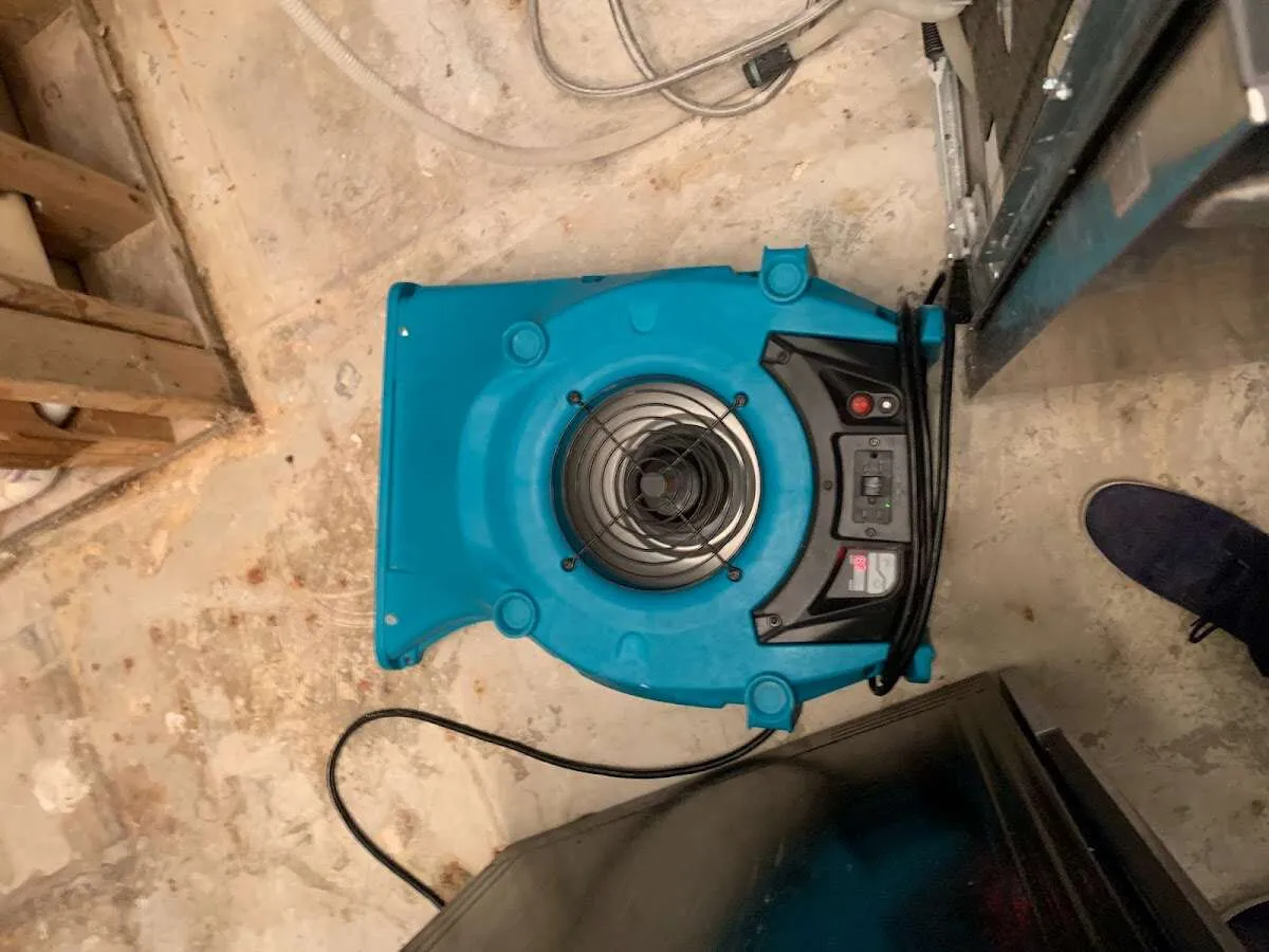 Air mover drying equipment for Mold Remediation & Removal in Inverness